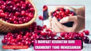 Cranberry - loveatfirstshine.com